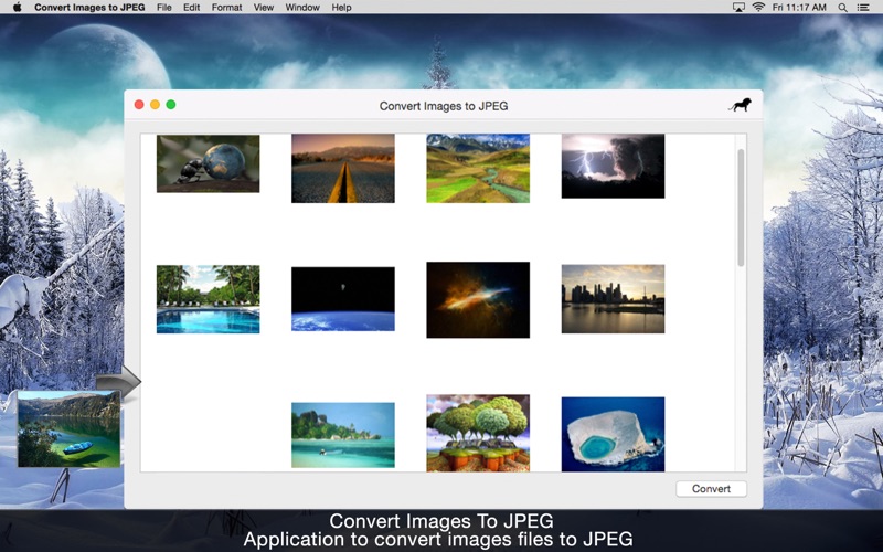 Convert Images to JPEG