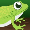 Lazy Frog Pond Race - crazy fast racing arcade game