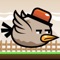 Grumpy Bird - Endless Arcade Flyer