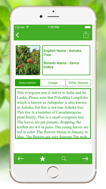 Natural Ayurvedic Remedies Herb