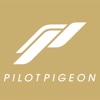 Pilot Pigeon Card Appreciation