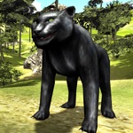 Angry Panther Attack 3D - Wildlife Carnivore Simulation Game