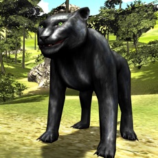 Activities of Angry Panther Attack 3D - Wildlife Carnivore Simulation Game