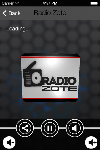Radio Zote screenshot 2