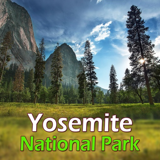 Yosemite National Park Tourism Guide