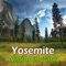 Yosemite National Park Tourism Guide has all the information you’ll need to know before you go, local time, weather, how to get there, when to go, where to camp or stay, what to do, what to see, and so much more