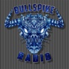 Bullspike Radio