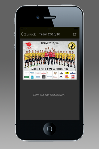 Bregenz Handball screenshot 4