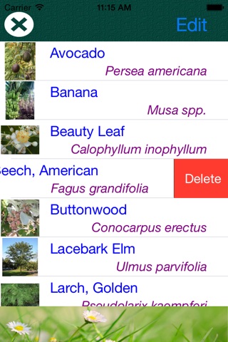 Tree Dictionary - All Information About A - Z Common Species Of Tree screenshot 4