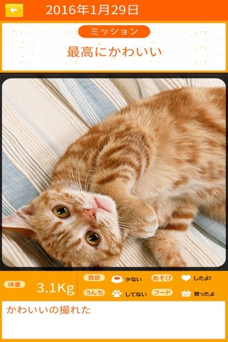 愛猫大好き日記 にゃねっとDIARY screenshot 4