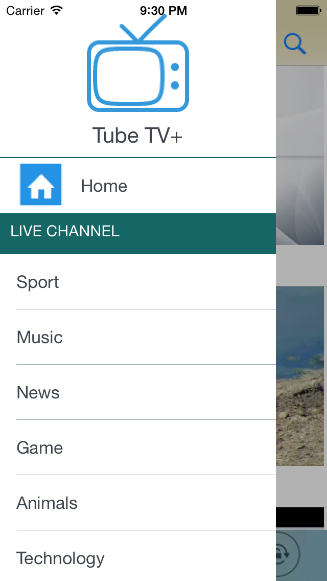 Tube TV