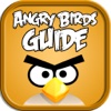 Guide for Angry Birds!