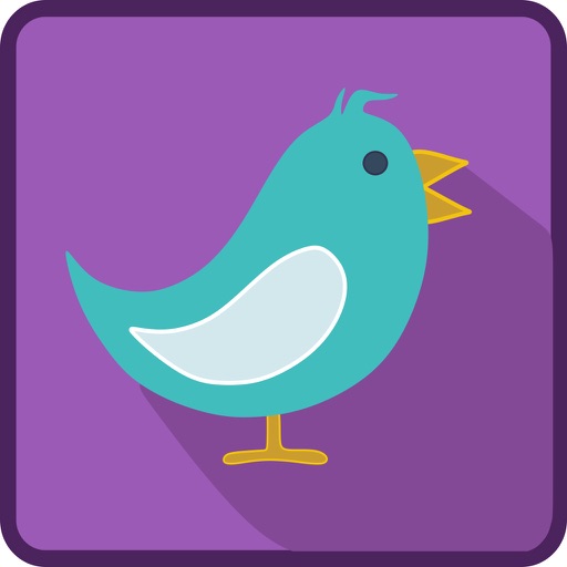 Funny Birds Game Icon