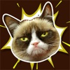 Grumpy Cat Meme - Latest Fun.ny Fat and Happy Cats Photo.bombs