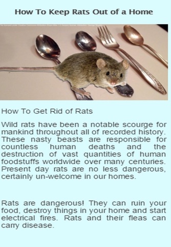 How To Get Rid Of Rats screenshot 2