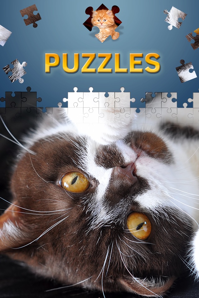 Cats Jigsaw Puzzles 2017 screenshot 2