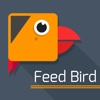 Feed Bird