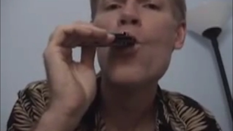 Play The Blues On Harmonica screenshot-3