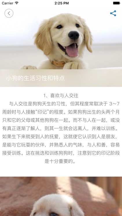 逗狗Dogo 狗狗的朋友圈 分享狗狗日常