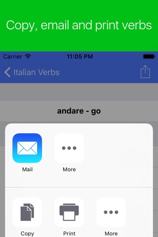 Italian Verb Conjugator screenshot 4