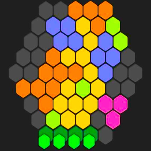 Hex Puzzle Pro Icon