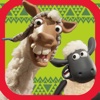 Shaun the Sheep - Llama League