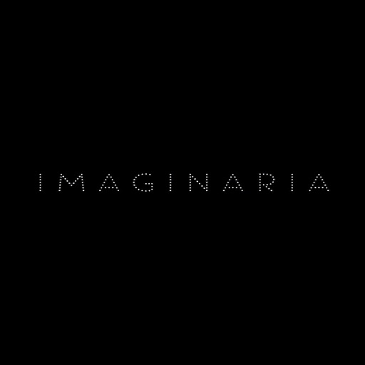 Imaginaria, Fundación Televisa