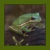 Frog Puzzles Extreme! XL Free