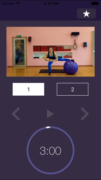 Stability Ball Exercises – Swiss Exercise Program for Strength and Physically Strong Gym Body
