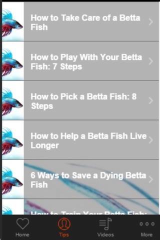 Betta Fish Care - Tips For Keeping A Happy And Healthy Betta screenshot 2