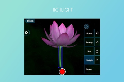 Lotus 3D screenshot 3