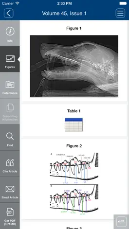 Game screenshot Veterinary Surgery apk