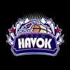 Team Havok