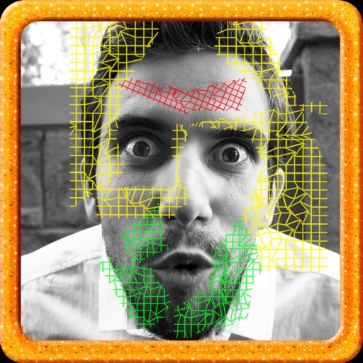 Biometric Face Analyzer Free Icon