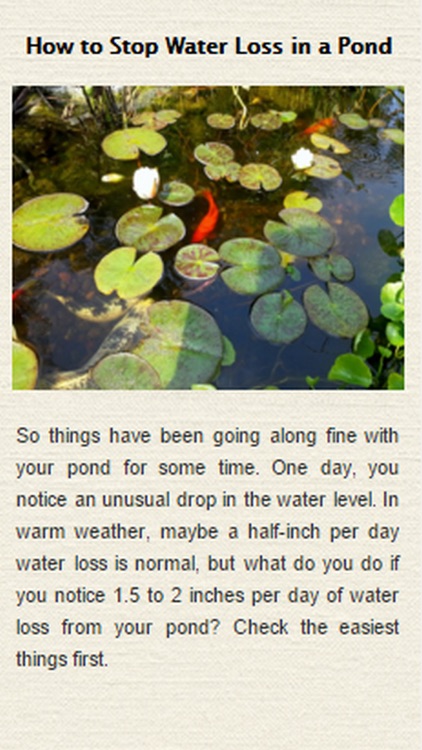How To Build A Pond