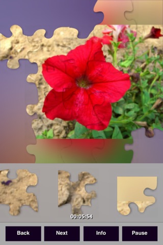 Flowers Puzzles screenshot 4