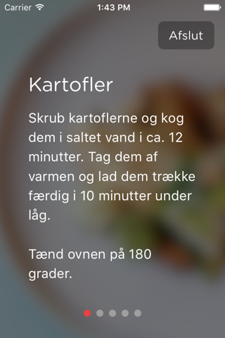 Aarstiderne Madplan screenshot 3