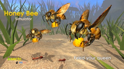 Honey Bee Simulator By Boris Tsarkov More Detailed Information