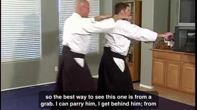 Learn Aikido Techniques screenshot-3