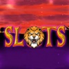 Slots - 51 Lions