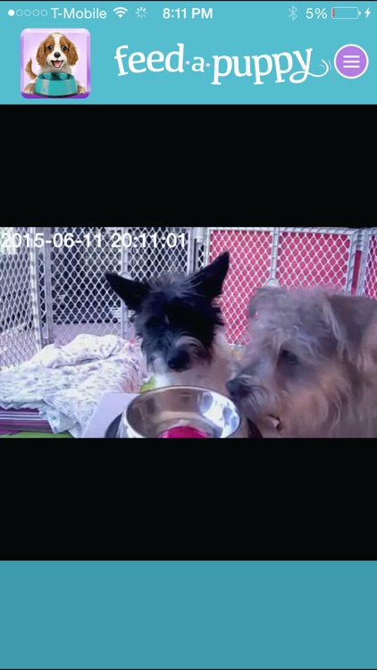 Feed A Puppy screenshot-3
