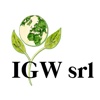 IGW