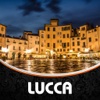 Lucca Travel Guide