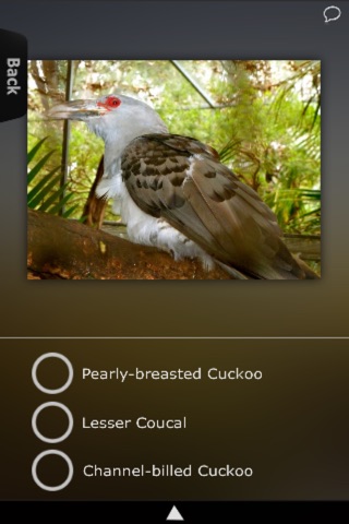 Cuckoos Info+ screenshot 4