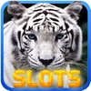 Jungle King's & White Tiger Slots: Free 5-Reel Slot Bonanza Machines Of Treasure Casino