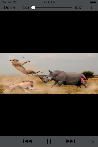 Funny Animal Videos screenshot 4