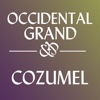 Occidental Grand Cozumel Resort para iPad