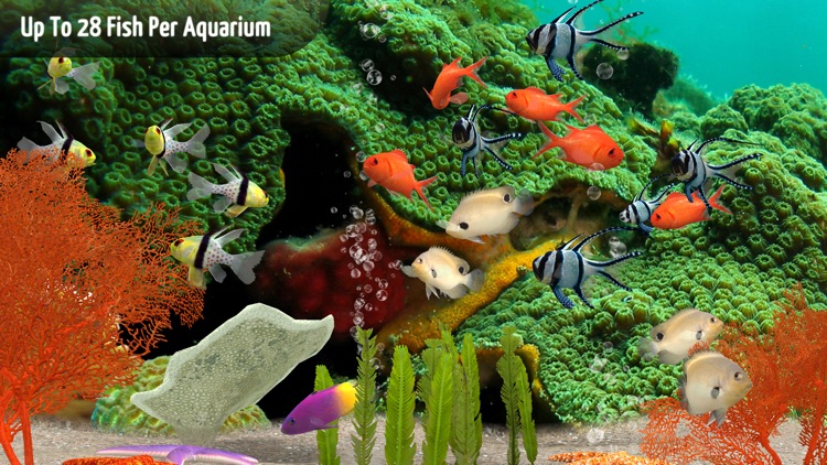 MyReef 3D Aquarium 3