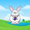 Funny Rabbit 2017