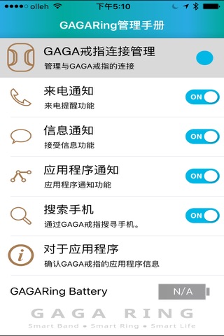 GAGARING Manager screenshot 4